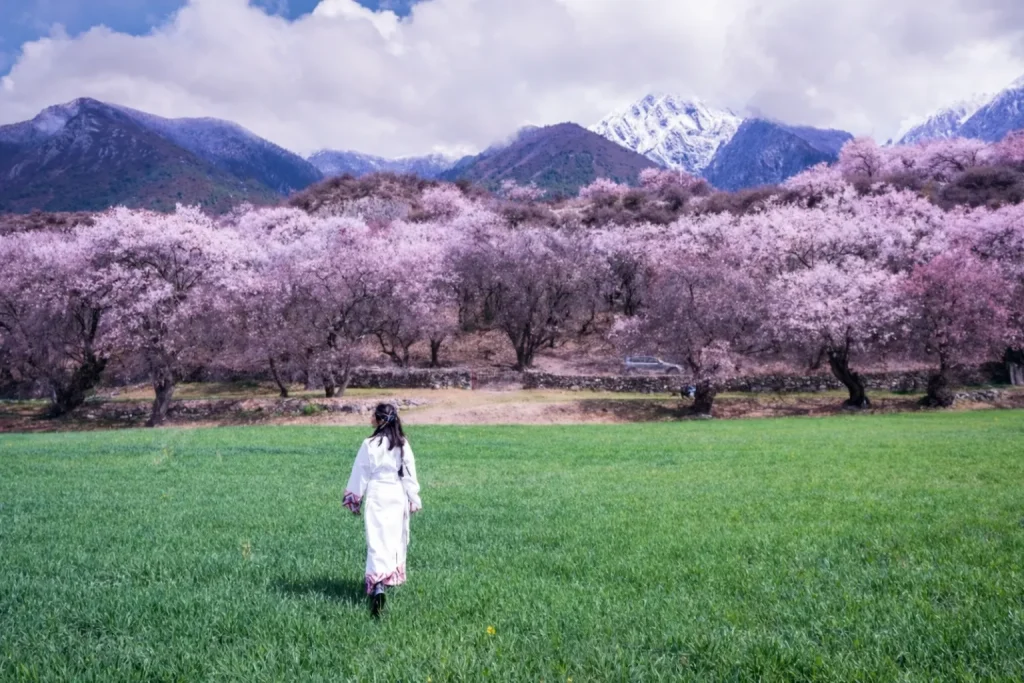 Bomi Peach Blossom Valley