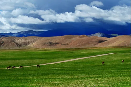 Changtang Grassland