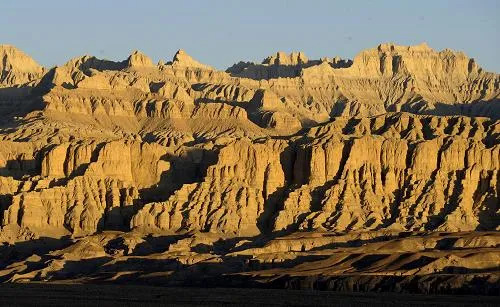 Zanda Earth Forest