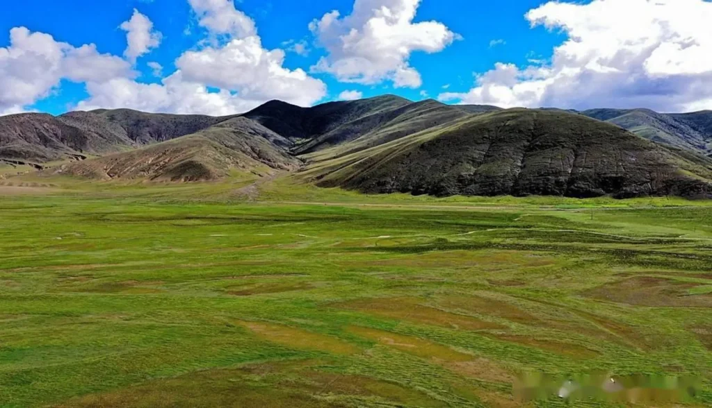 Bangda Grassland