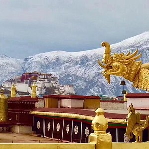 Routes shaped by culture, comfort, and altitude rhythm